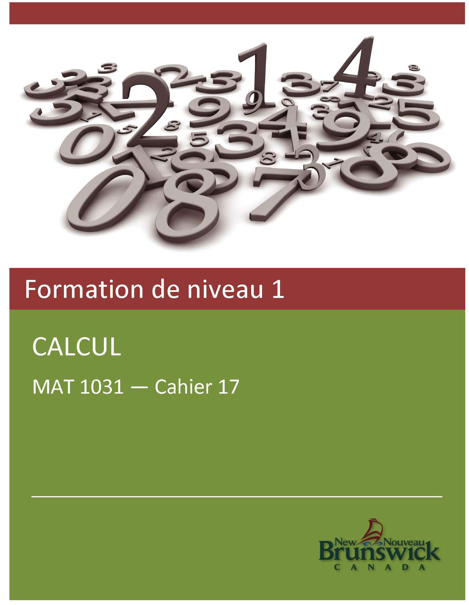 Cahier 17